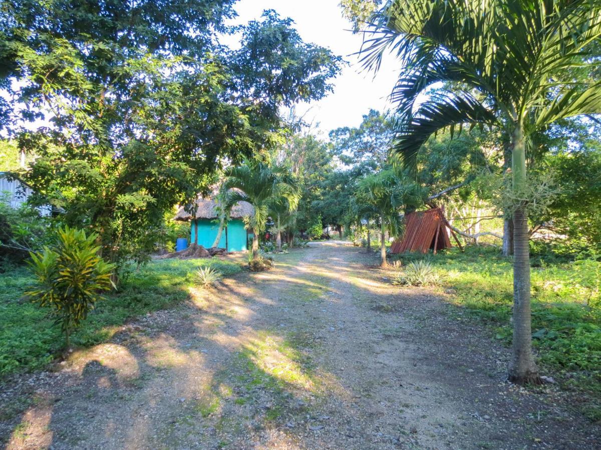 Cabanas Calakmul Conhuas Екстериор снимка