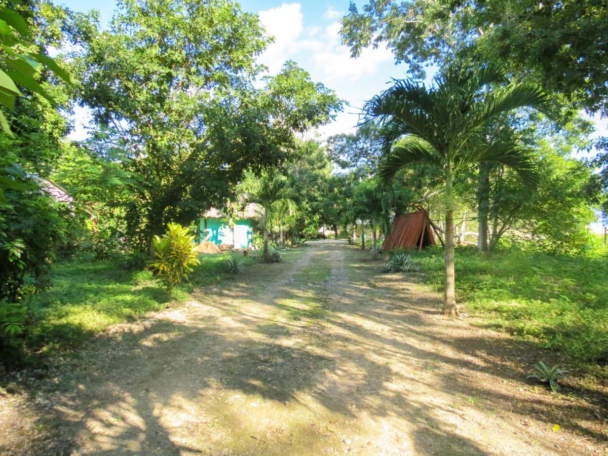 Cabanas Calakmul Conhuas Екстериор снимка