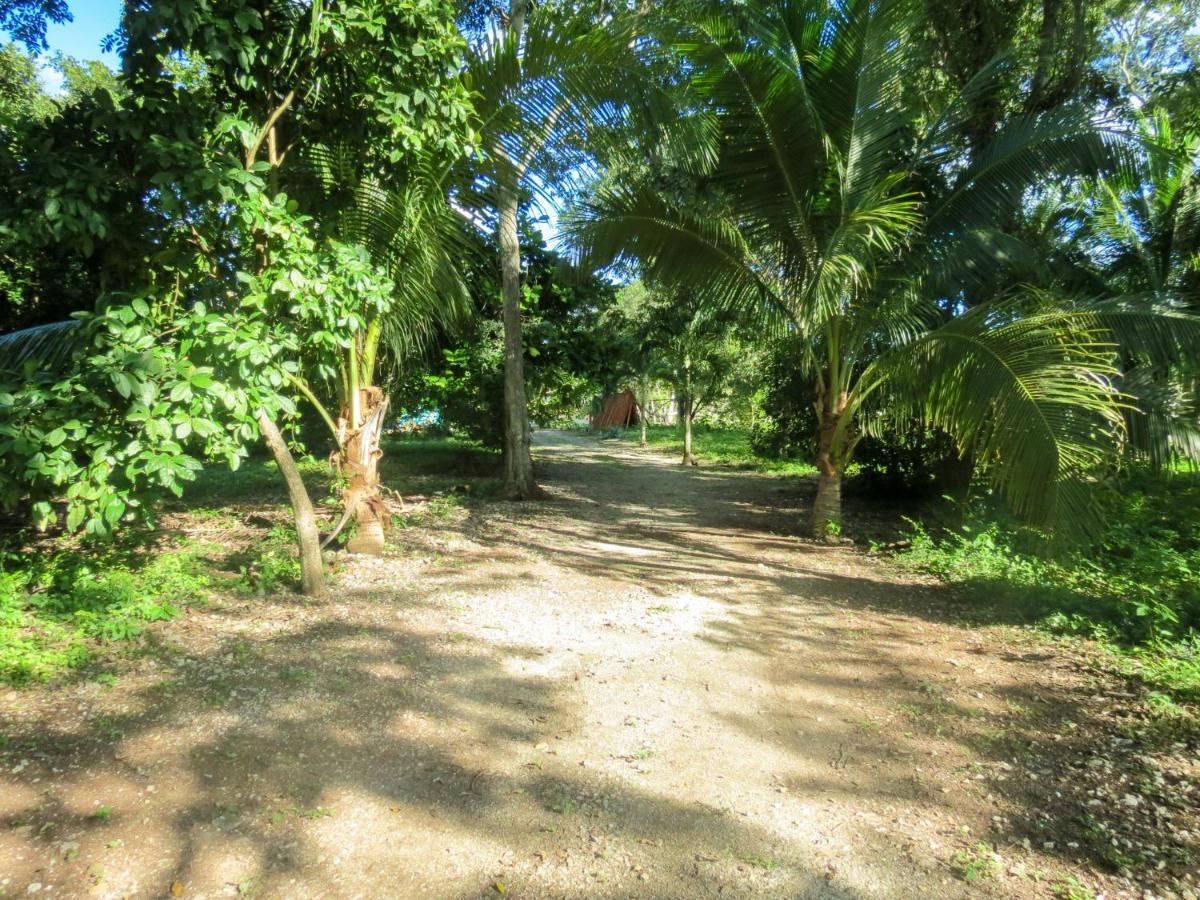 Cabanas Calakmul Conhuas Екстериор снимка